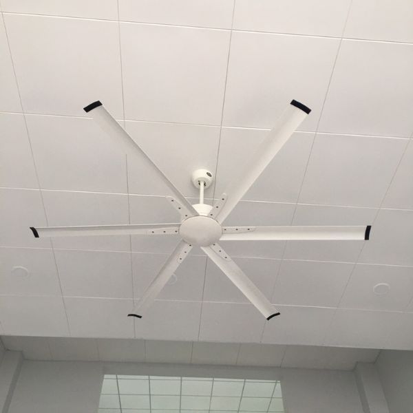 Quạt trần industrial 2M 4 Quạt trần 6 cánh chạy cực êm nhờ động cơ chuẩn Đài Loan
