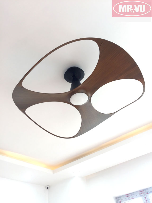 mẫu quạt độc nhất vô nhị