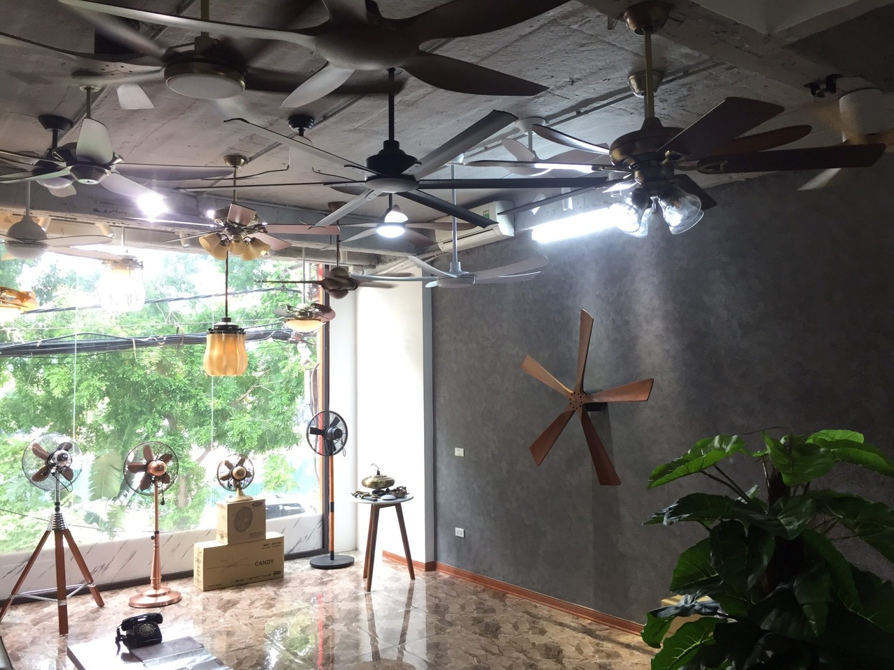 Người tiêu nên ưu tiên những thương hiệu uy tín, có showroom trưng bày thực tế