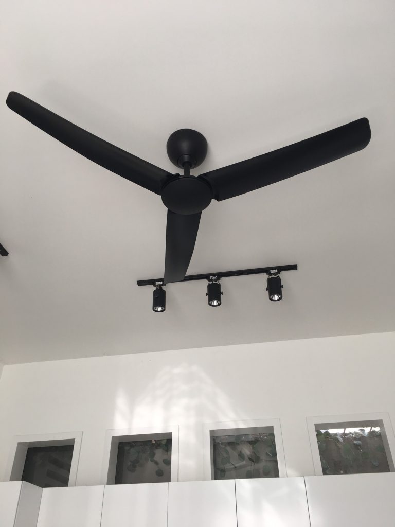 quat-tran-mau-den-dc