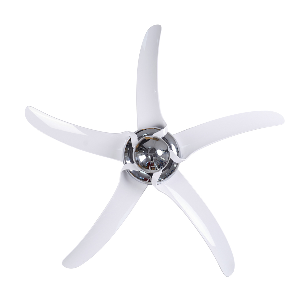 quat-tran-uragnao-trang quat-tran-uragnao-trang