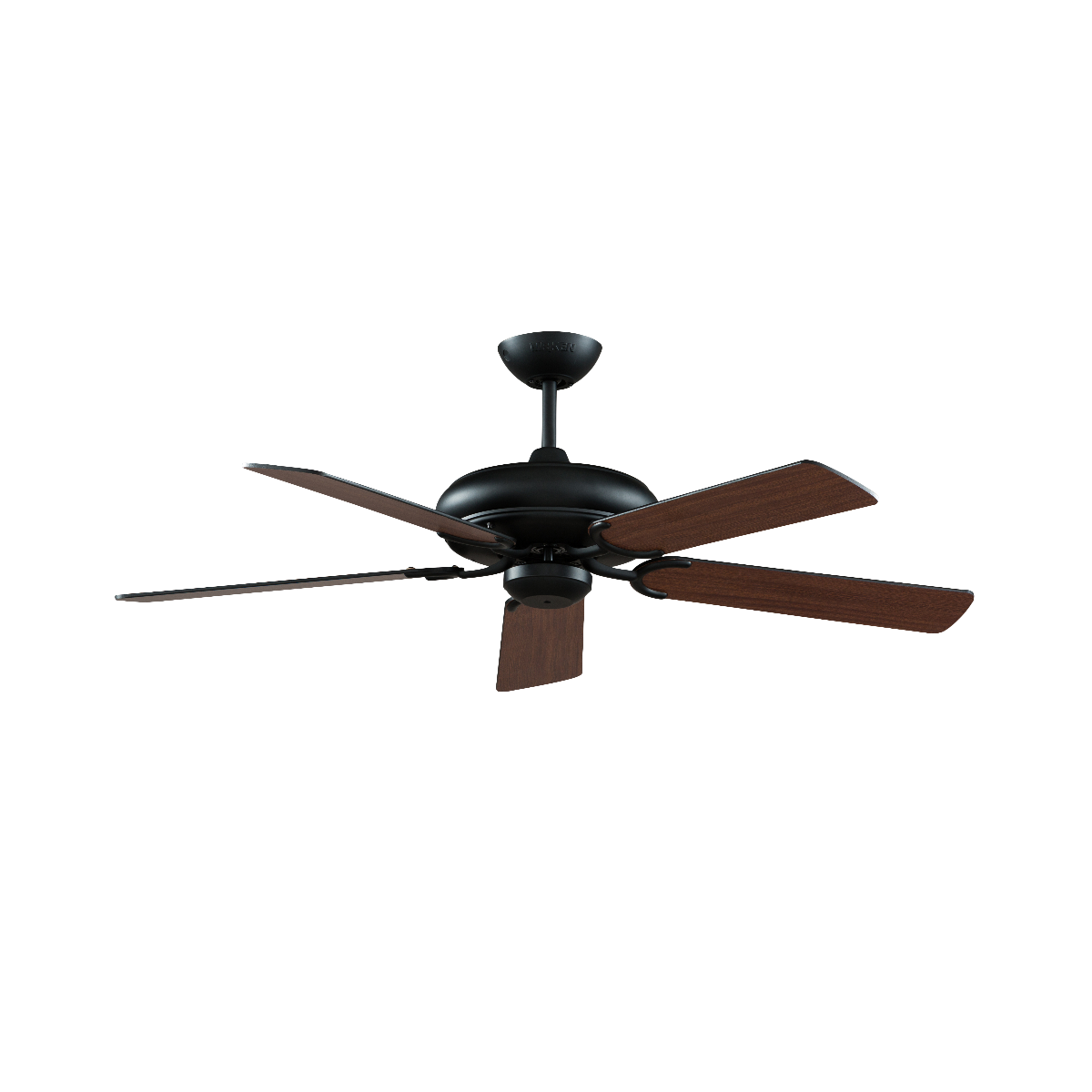 quat tranBALI RB NL2 quat tranBALI RB NL2