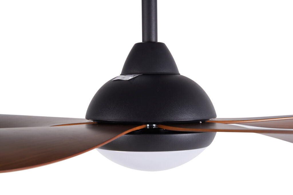 quat-tran-1m-cora-nau-go2 quat-tran-1m-cora-nau-go2