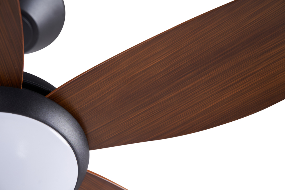 quat-tran-1m-cora-nau-go4 quat-tran-1m-cora-nau-go4