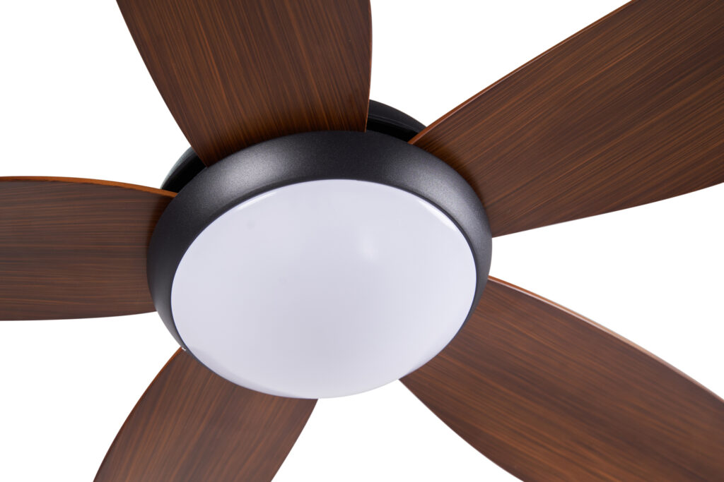 quat-tran-1m-cora-nau-go5 quat-tran-1m-cora-nau-go5