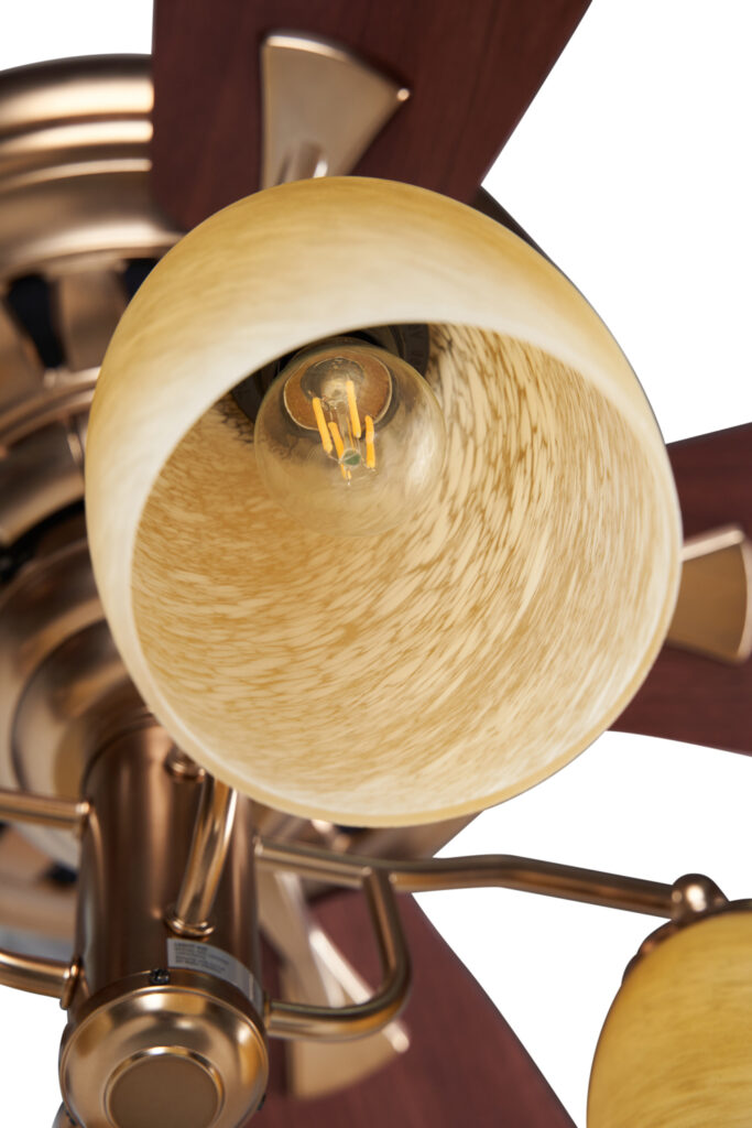 quat-tran-legend2 quat-tran-legend2