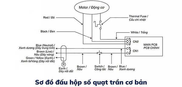 Sơ đồ đấu dây hộp số quạt trần cơ bản
