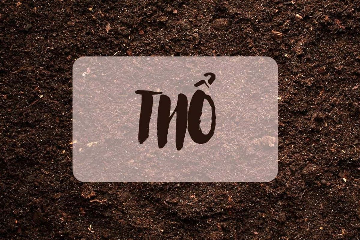 Mệnh thổ sinh năm nào? Bật mí thông tin chi tiết về người mệnh thổ | TIKI