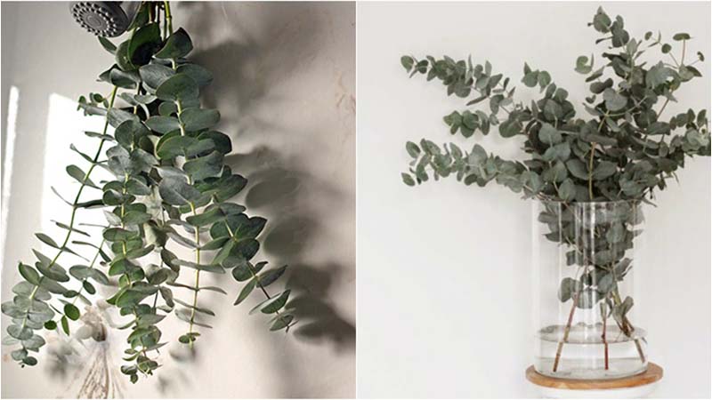 cách làm thơm phòng