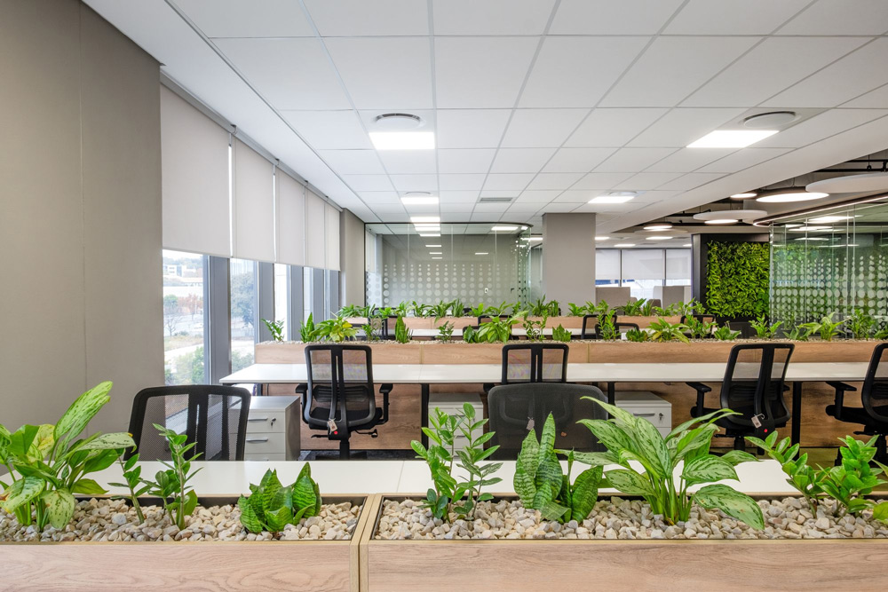 thiết kế nội thất văn phòng