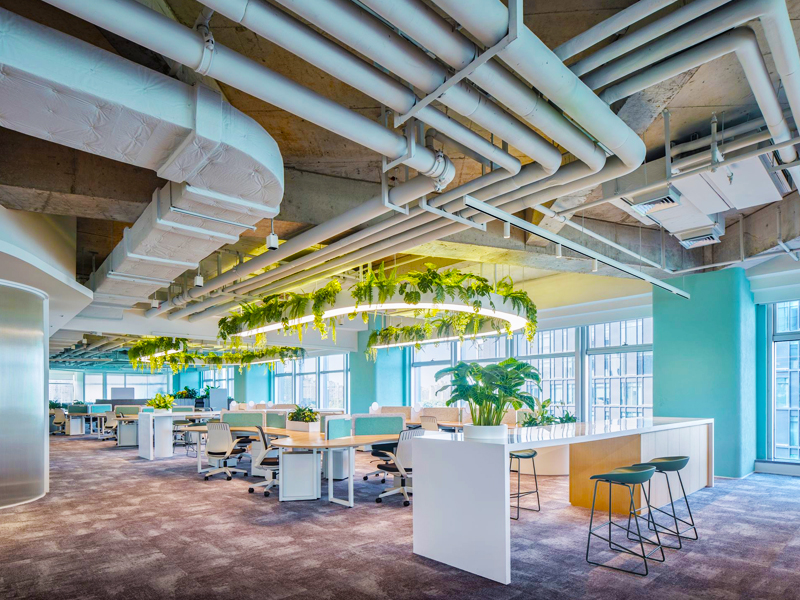 thiết kế nội thất văn phòng