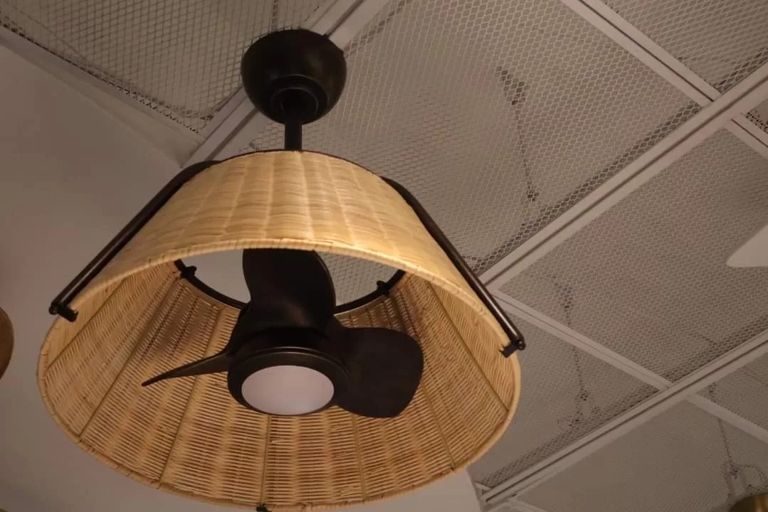 Quạt trần gỗ hiện đại