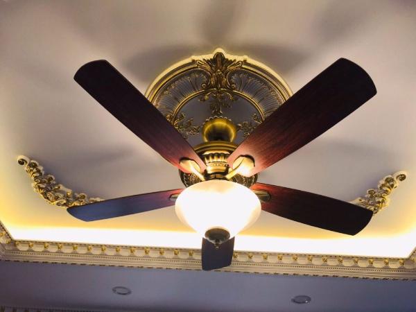 Quạt trần Original Light tại Mr.Vũ