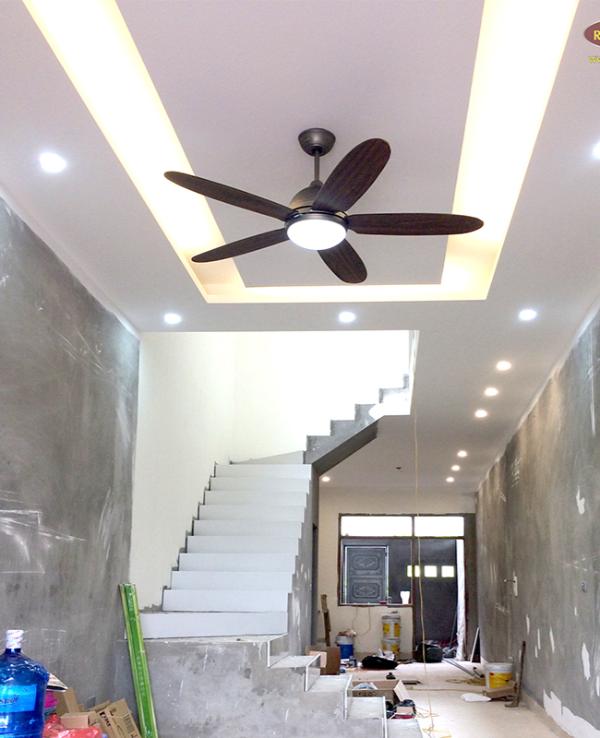 Quạt trần Daisy Gold tại Mr.Vũ