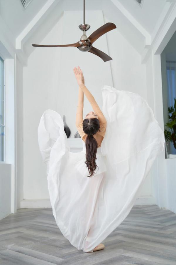 Quạt trần Akova DK Led