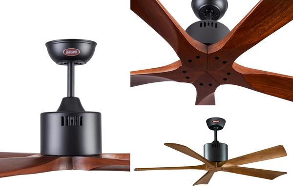 Quạt trần Solid 5B