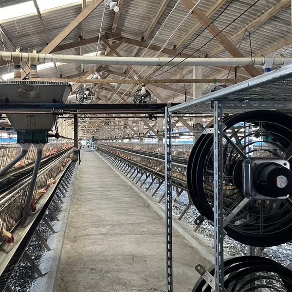 Chọn quạt công nghiệp khi có nhu cầu sử dụng liên tục, không gian rộng lớn