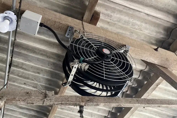 Việc tính toán diện tích không gian và lưu lượng gió giúp lựa chọn model quạt công nghiệp phù hợp