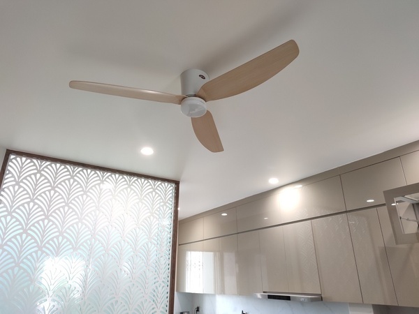 Mẫu 1: Quạt trần có đèn trang trí Mr.Vũ Sky WH LED