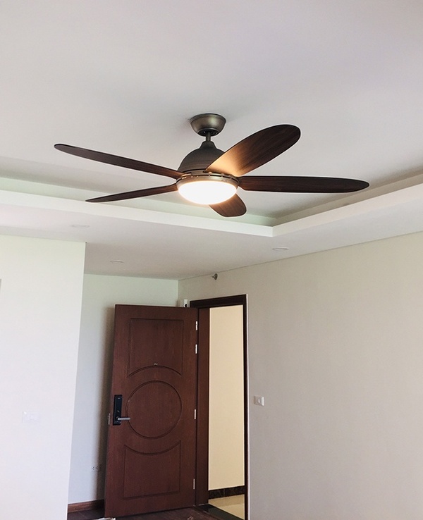 Quạt trần đèn LED tích hợp 2 trong 1, vừa làm mát vừa chiếu sáng tiện lợi