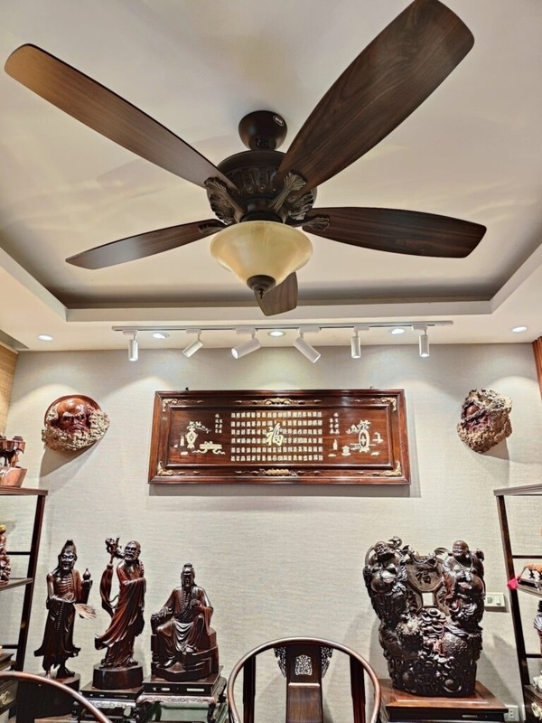 Quạt Legend Plus