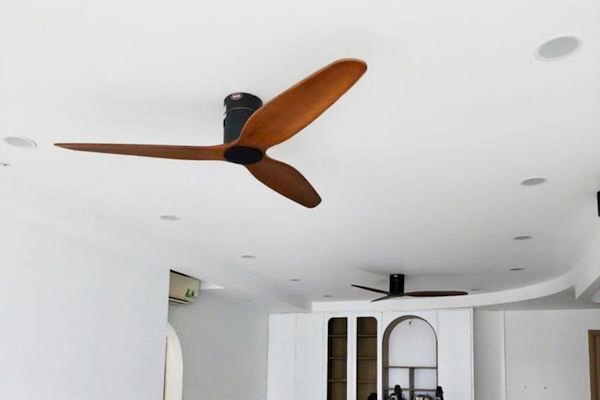 Quạt lọc không khí Vita MP