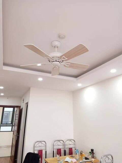 Quạt trần màu trắng 5 cánh Classic