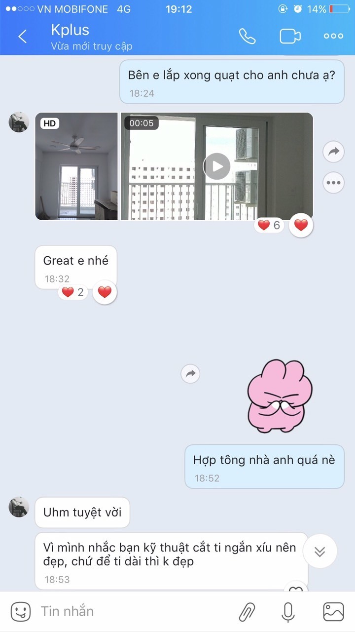 kh mua quat royal daisy trang