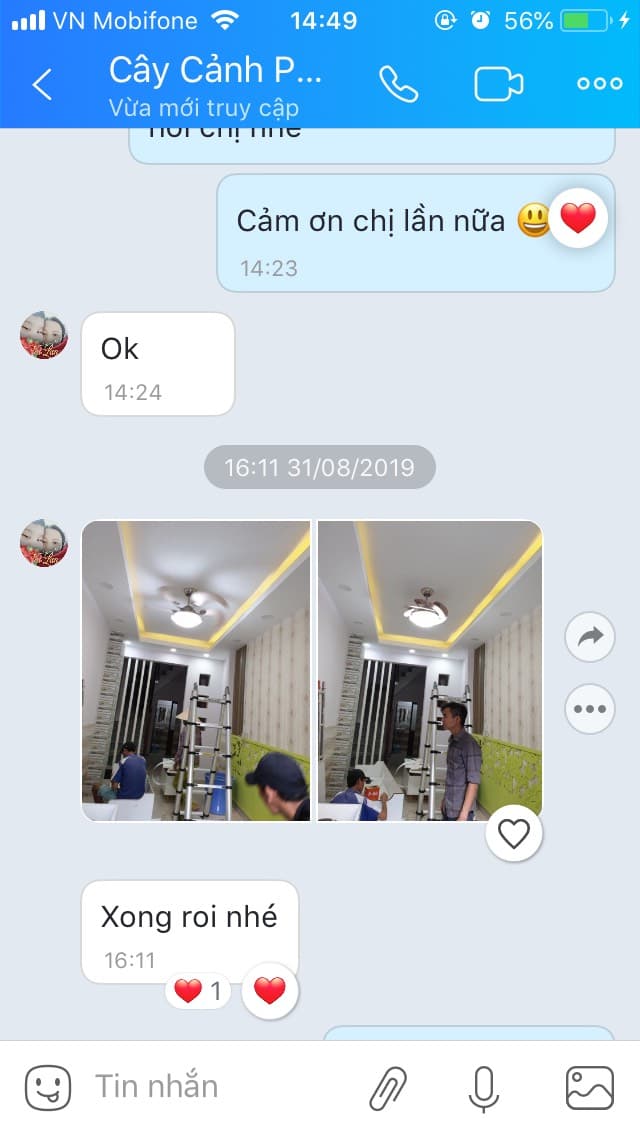 mua quat tran royal sole go