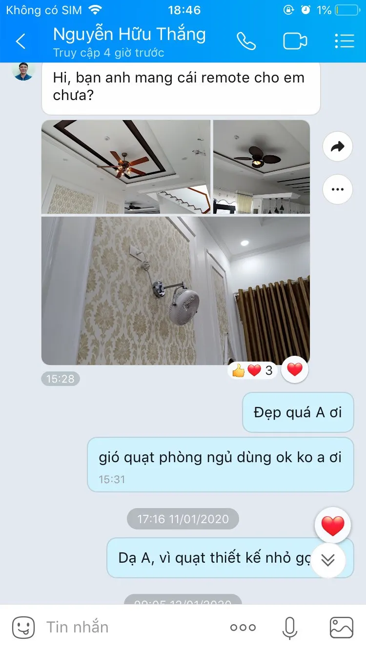 quat Vivi 1