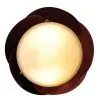 quat-cup-xoe-Sole-mahogany-1