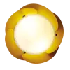 quat-cup-xoe-mau-vang-Sole-1
