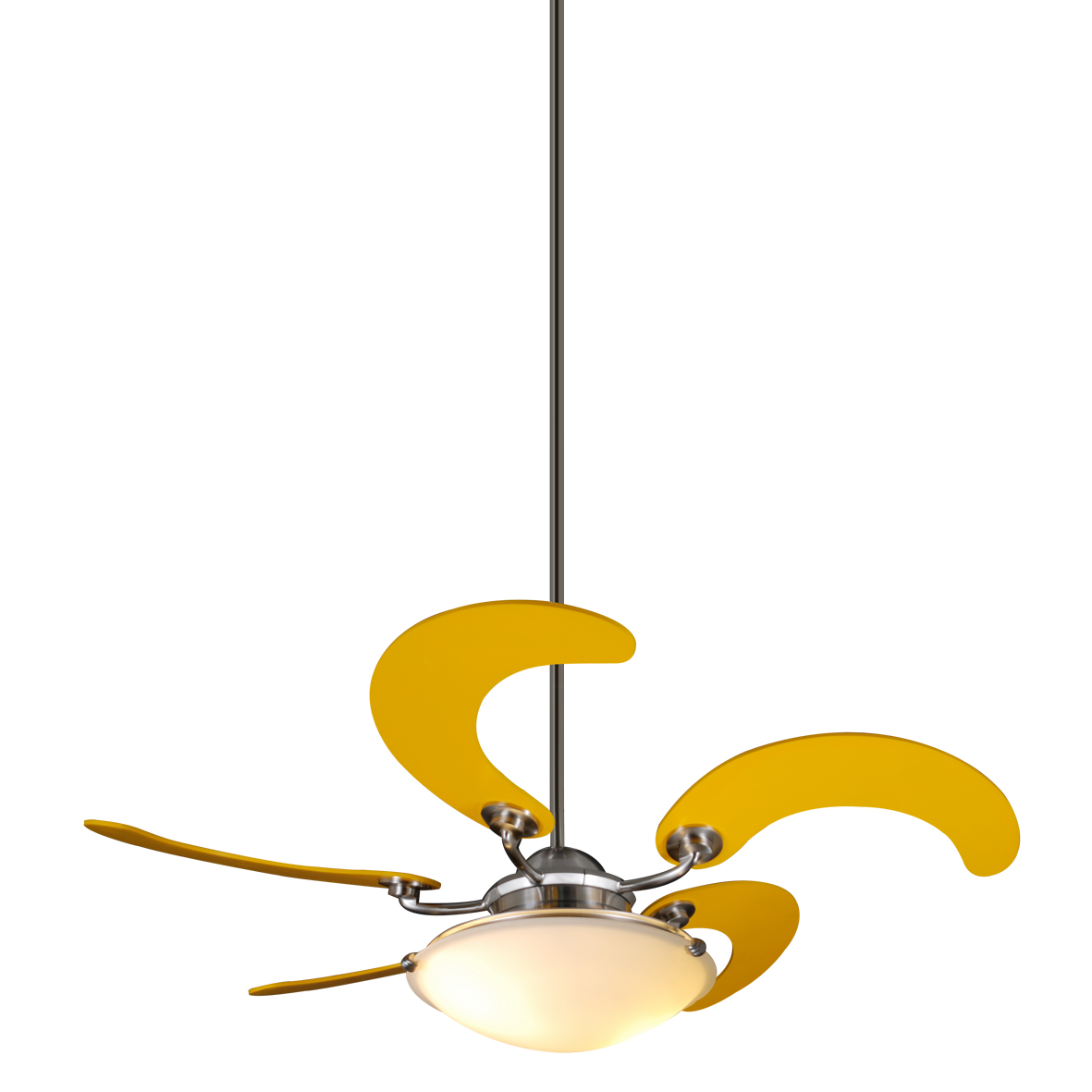 quat-cup-xoe-mau-vang-Sole-3 quat-cup-xoe-mau-vang-Sole-3