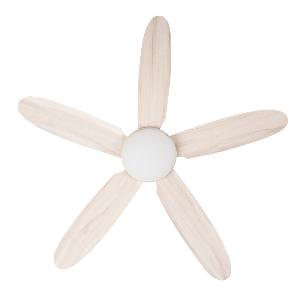 quat tran 5 canh go den daisy1 quat tran 5 canh go den daisy1