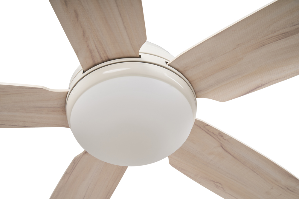 quat tran 5 canh go den daisy5 quat tran 5 canh go den daisy5