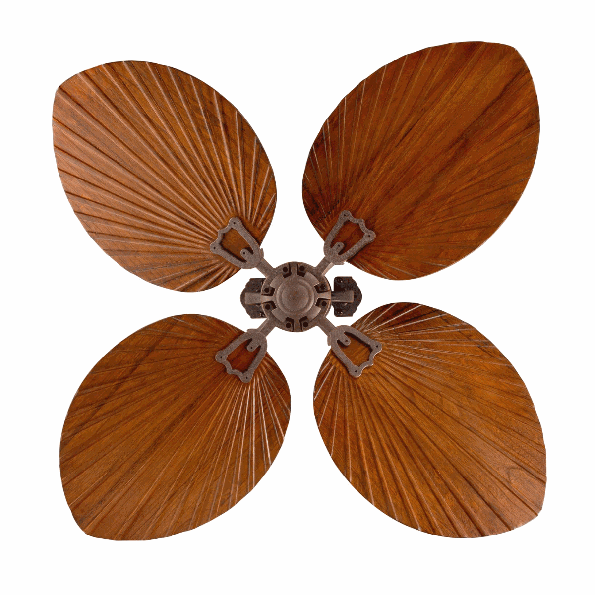 quat tran canh la go palm quat tran canh la go palm