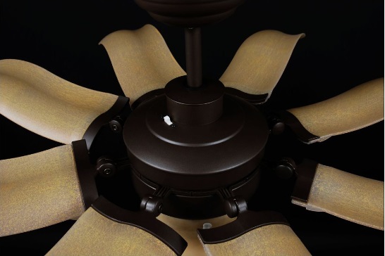 quat-tran-fiore-phia-tren quat-tran-fiore-phia-tren