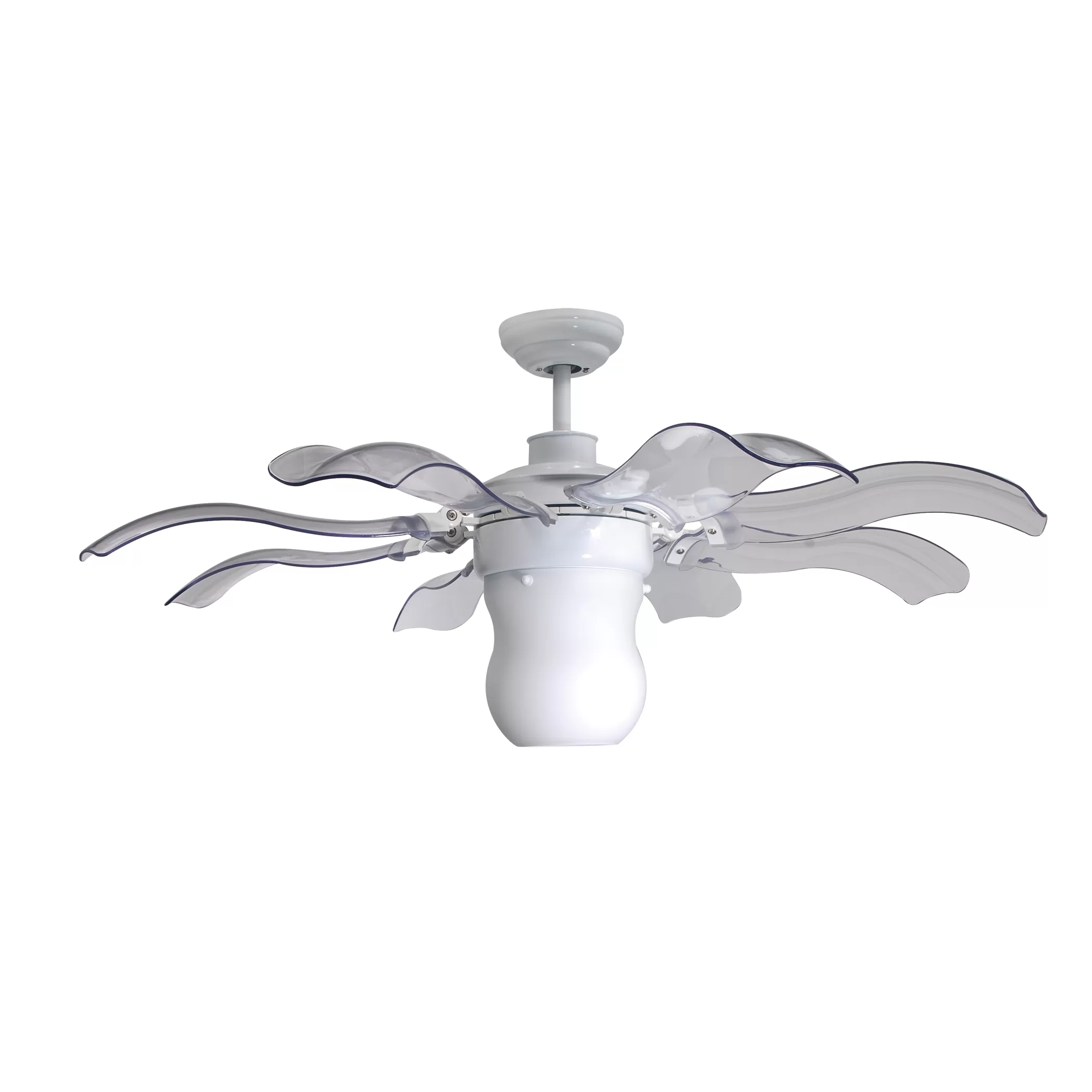 quat-tran-fiore-trang quat-tran-fiore-trang