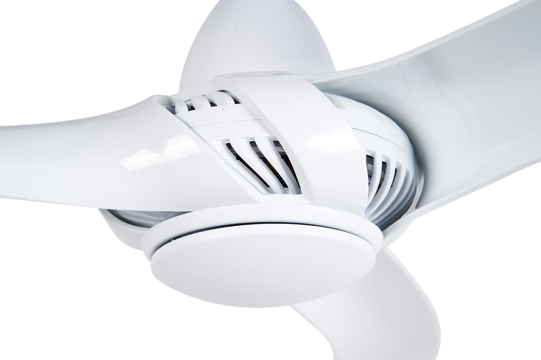 quat tran mau trang akova quat tran mau trang akova