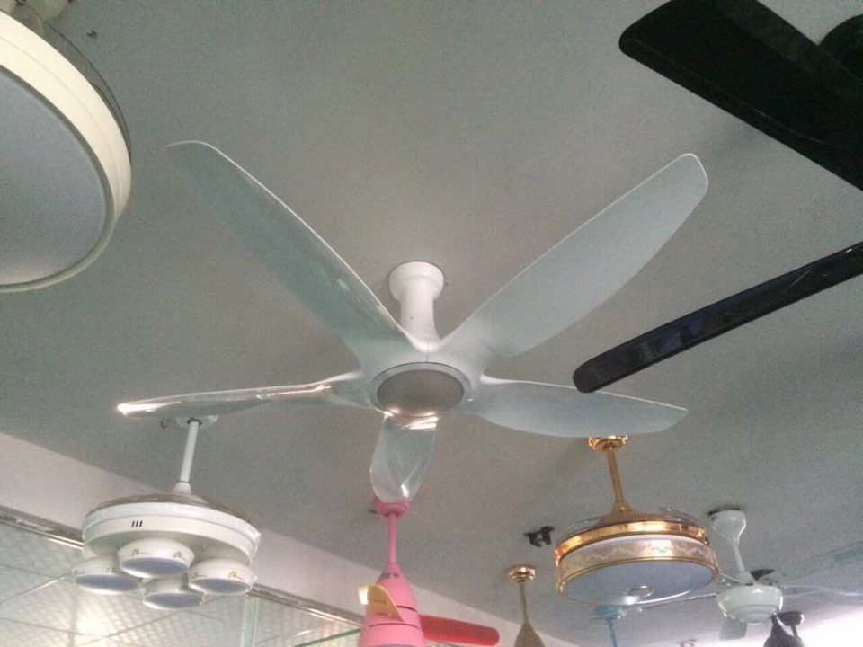 quat tran trung quoc