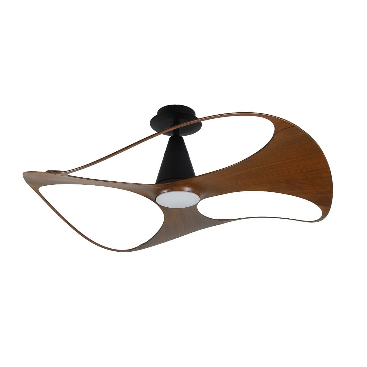 quat tran royal swish walnult 2 quat tran royal swish walnult 2