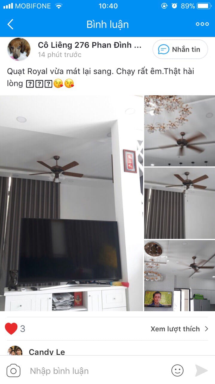 y kien khach mua quat royal lotus co den 1