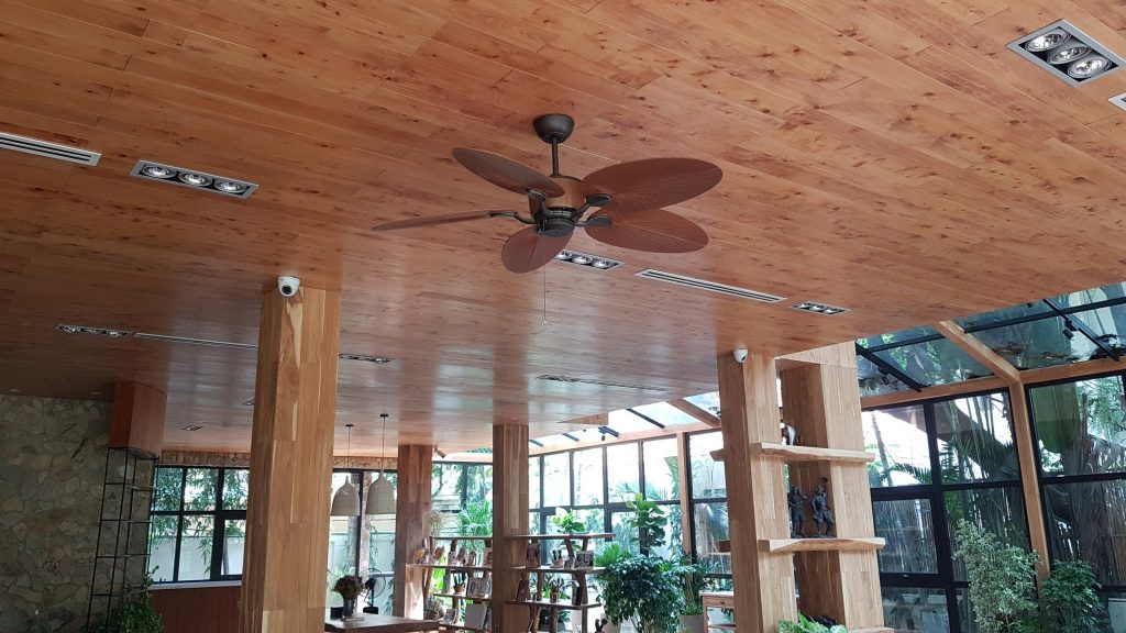 54945e65ccf929a770e8 54945e65ccf929a770e8