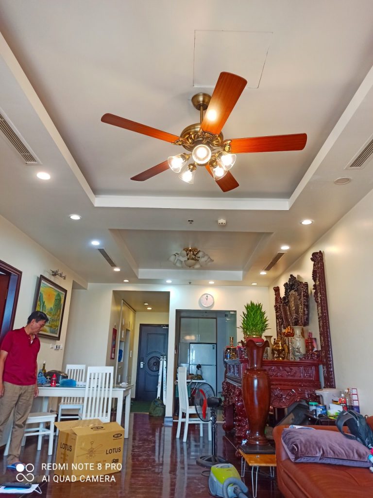 Lotus Gold1 Lotus Gold1