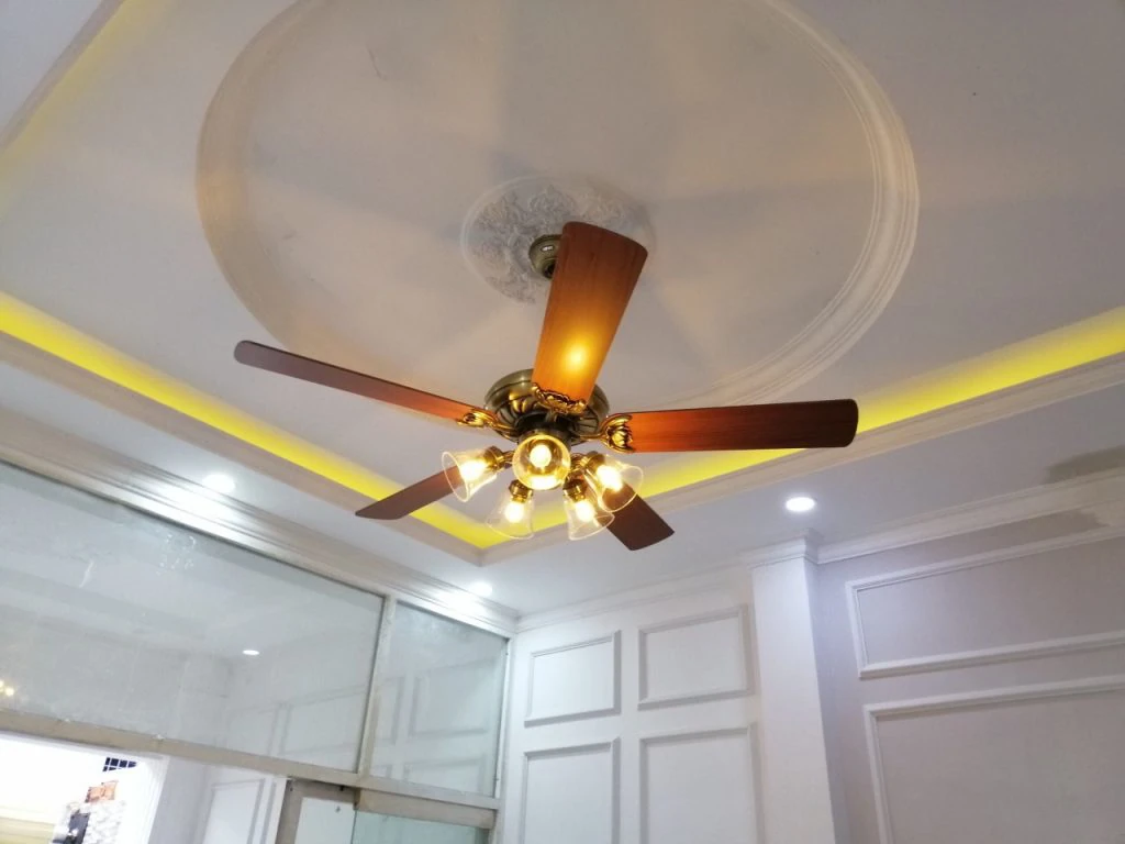 Lotus Gold10