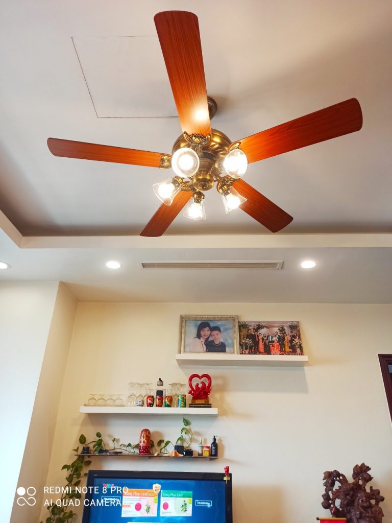 Lotus Gold2 Lotus Gold2