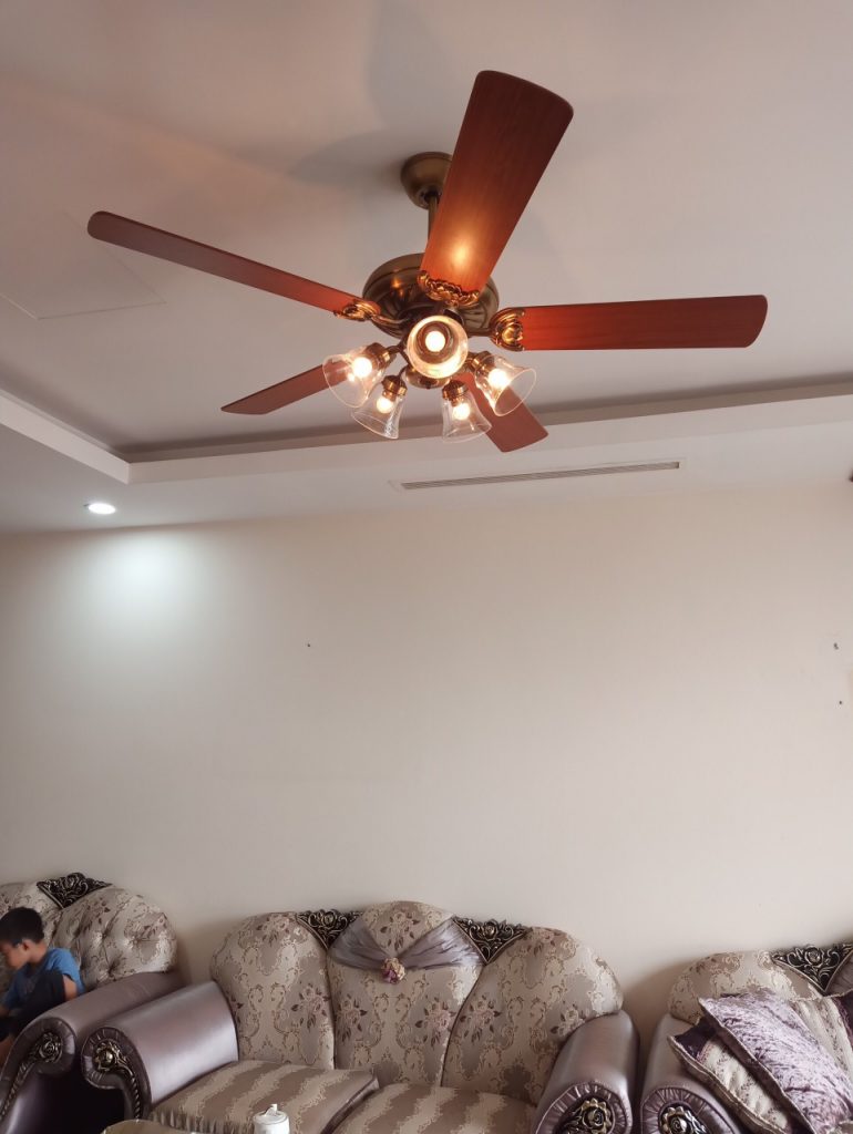 Lotus Gold3 Lotus Gold3