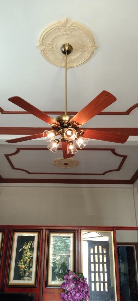 Lotus Gold6 Lotus Gold6