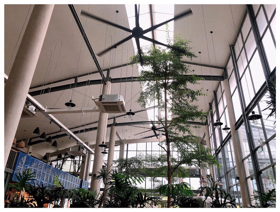 b1a306ff86227d7c2433 b1a306ff86227d7c2433