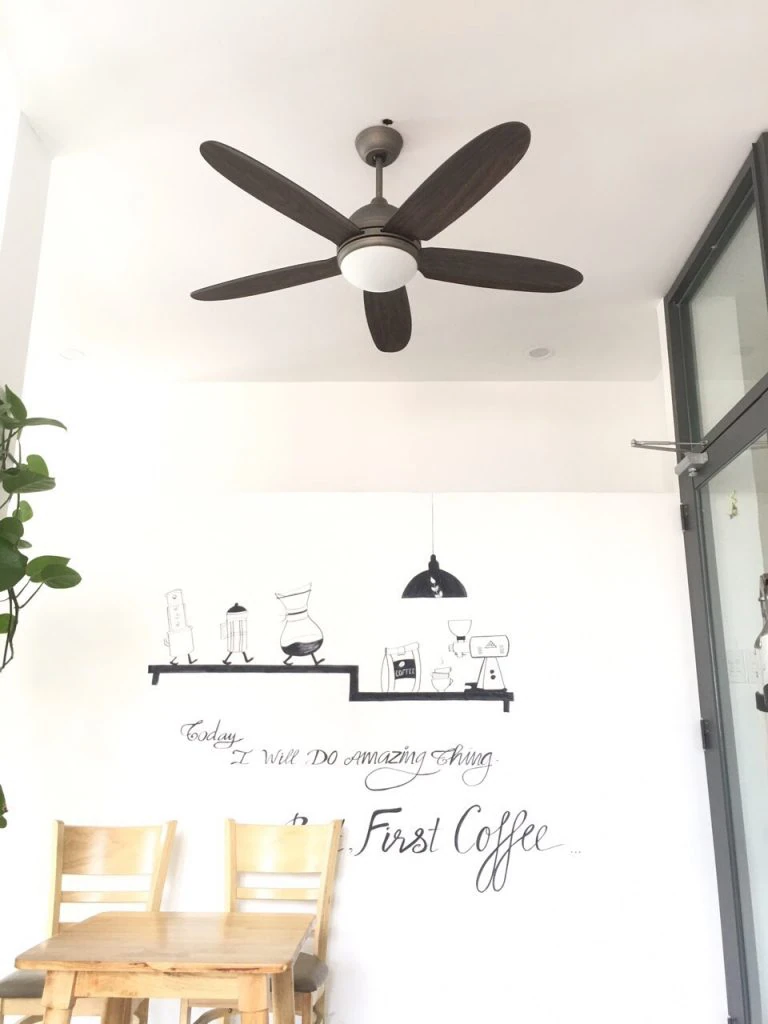daisyden18